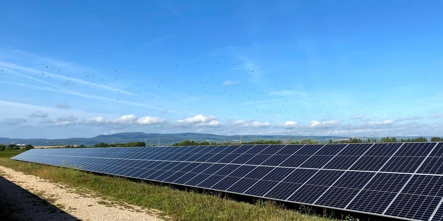 Energie Aus Der Nachbarschaft Pfalzwerke